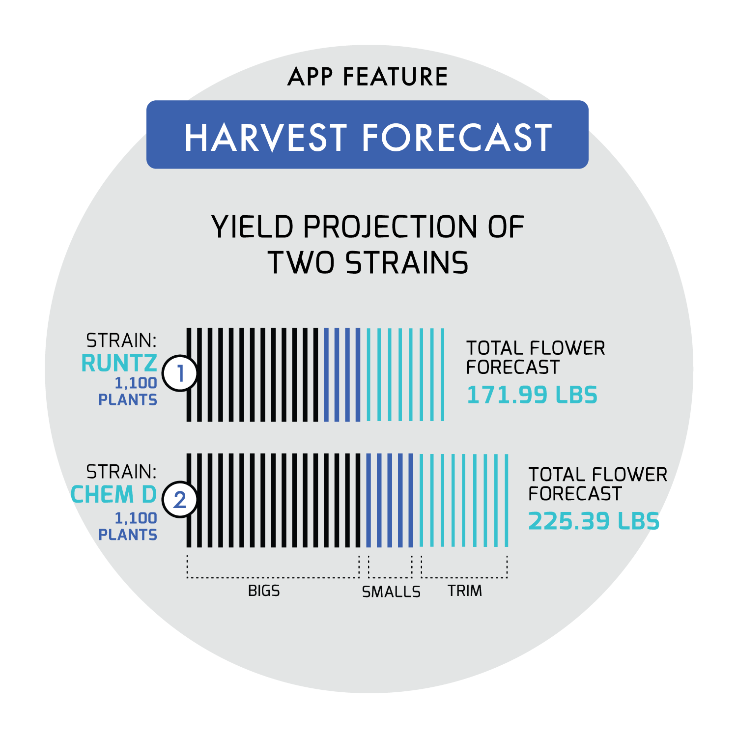 Harvest Forecast