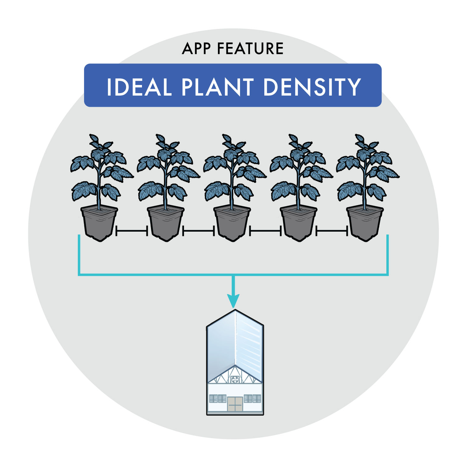 Features plant density