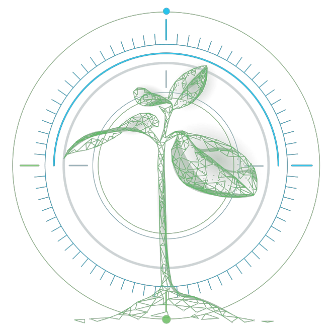 Reticle specimen